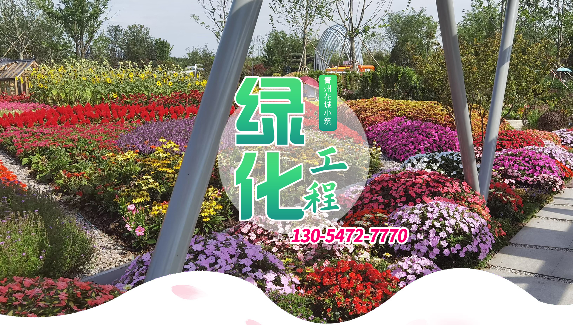 綠化苗木